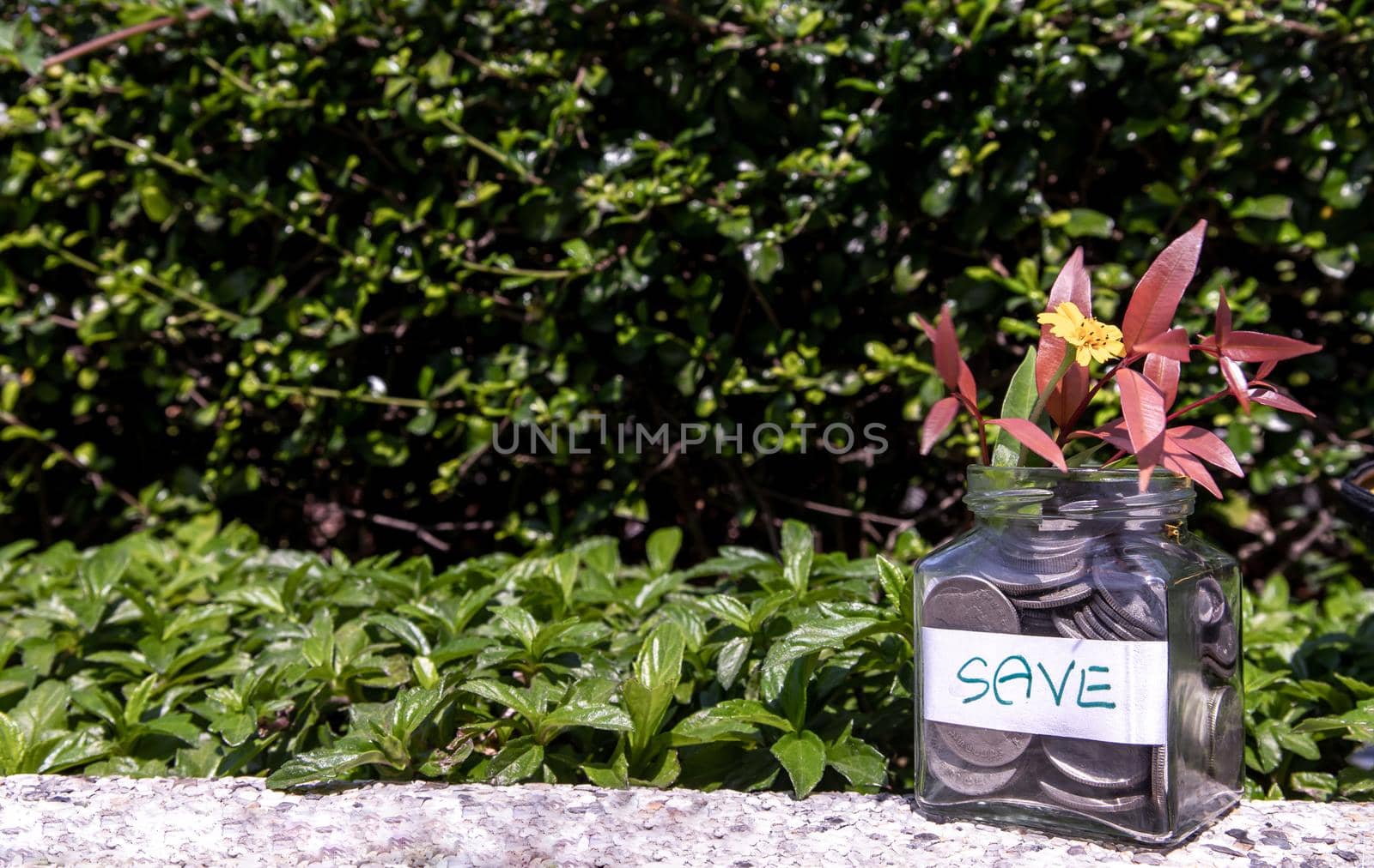 The pile of coins in glass bottle on natural green background for concept for growth and saving money. Space for text input, Selective focus.