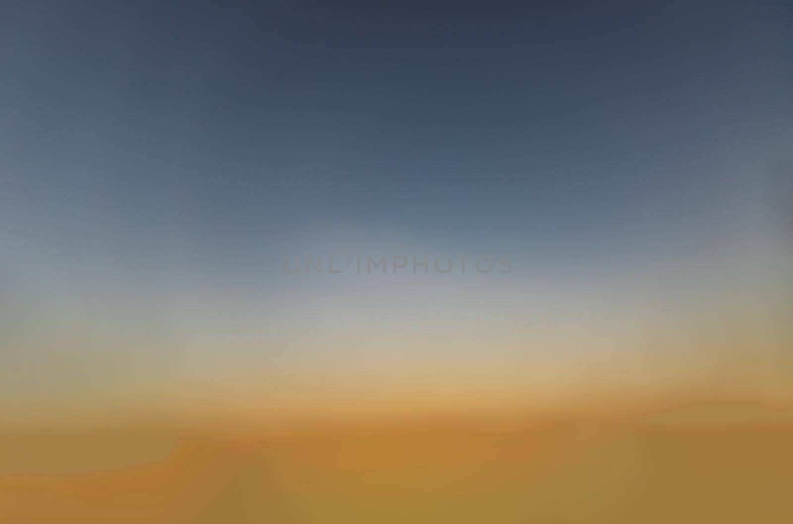 Seagull flying spread wings in the sky at evening. Space for text, No focus, specifically.