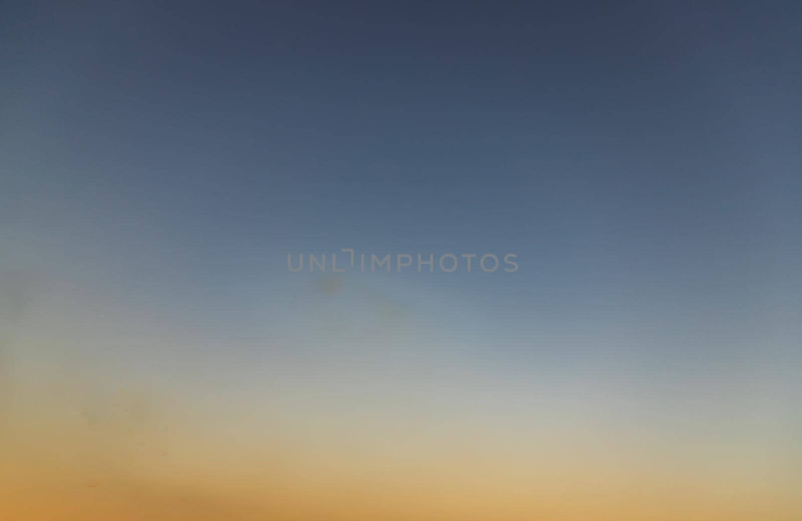 Seagulls flying spread wings in the sky at evening. Space for text, No focus, specifically.