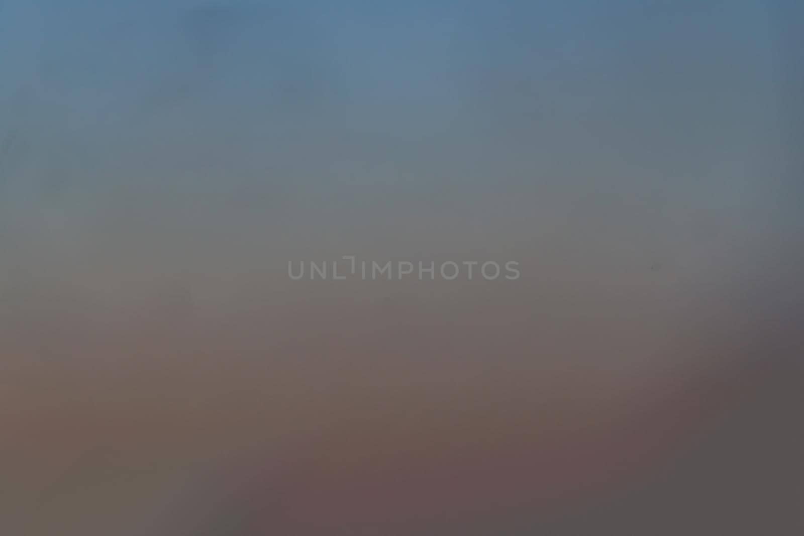 Seagull flying spread wings in the sky at evening. Space for text, No focus, specifically.