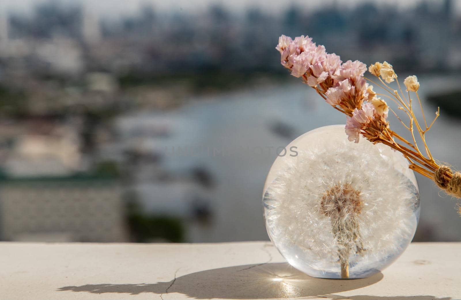 Dried flowers on Crystal glass in river background. World Environment concept. Copy space.