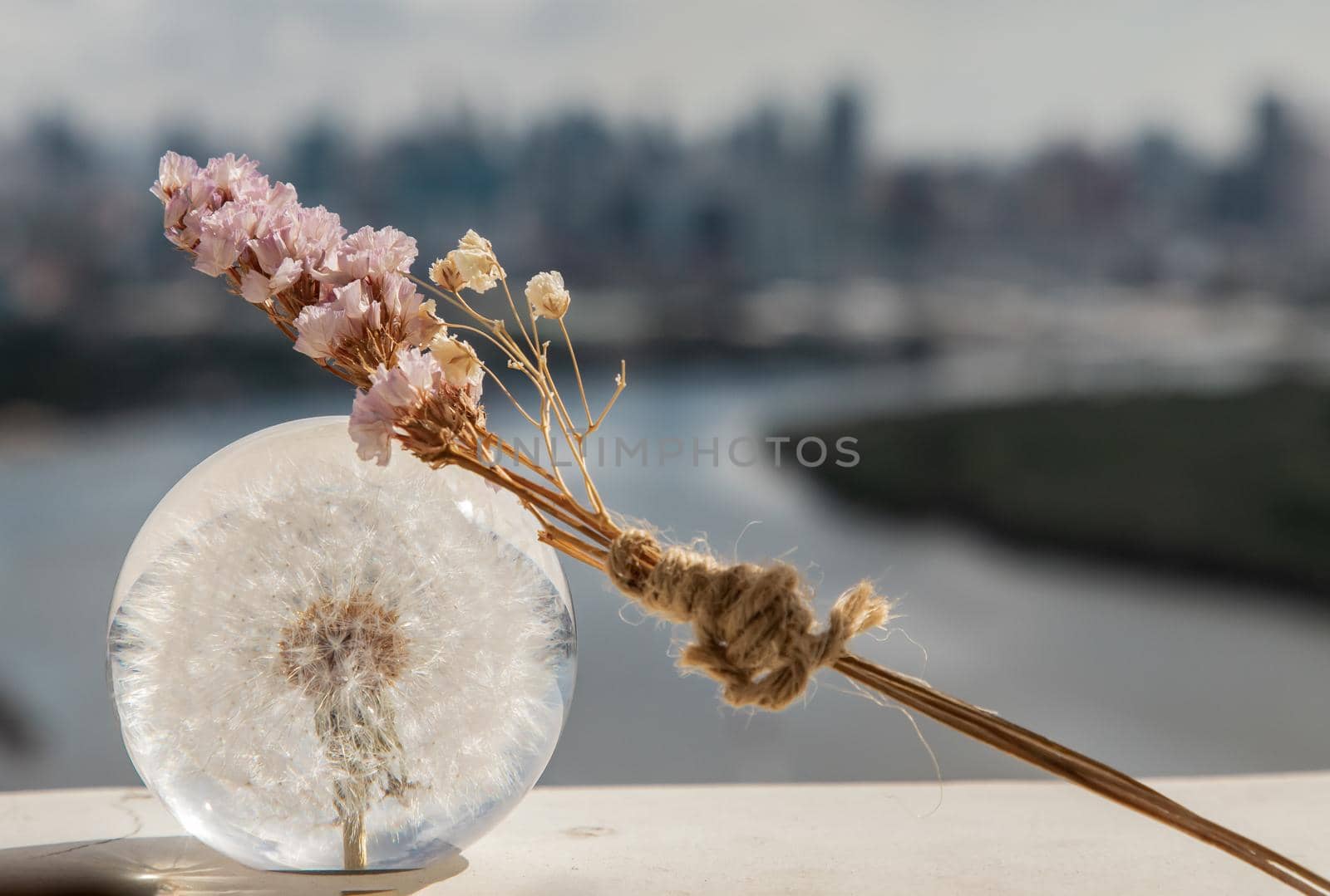 Dried flowers on Crystal glass in river background. World Environment concept. Copy space.