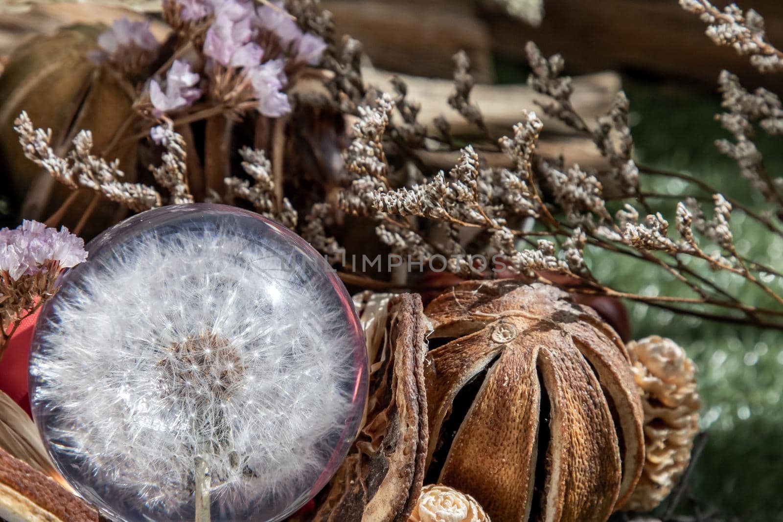 The freshness of Flower in Crystal glass in the middle of Dried flowers. World Environment and Ecology concept, Nature background.