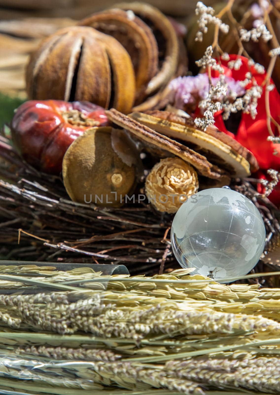 The freshness of Glass crystal globe in the middle of dried flowers. World Environment and Ecology concept, nature background.