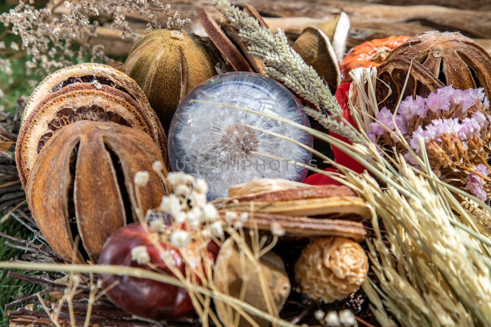 The freshness of Flower in Crystal glass in the middle of Dried flowers. World Environment and Ecology concept, Nature background.