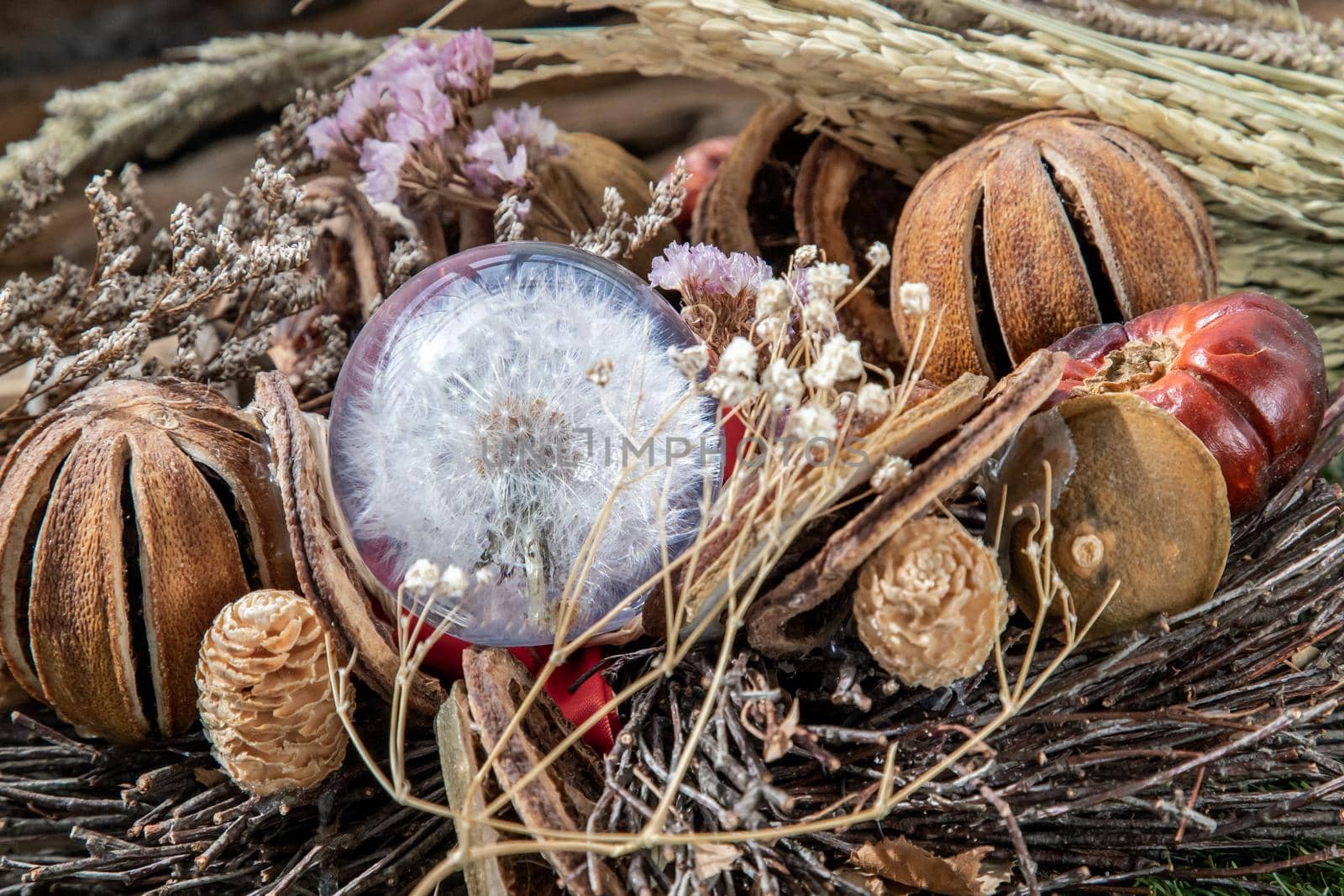 The freshness of Flower in Crystal glass in the middle of Dried flowers. World Environment and Ecology concept, Nature background.
