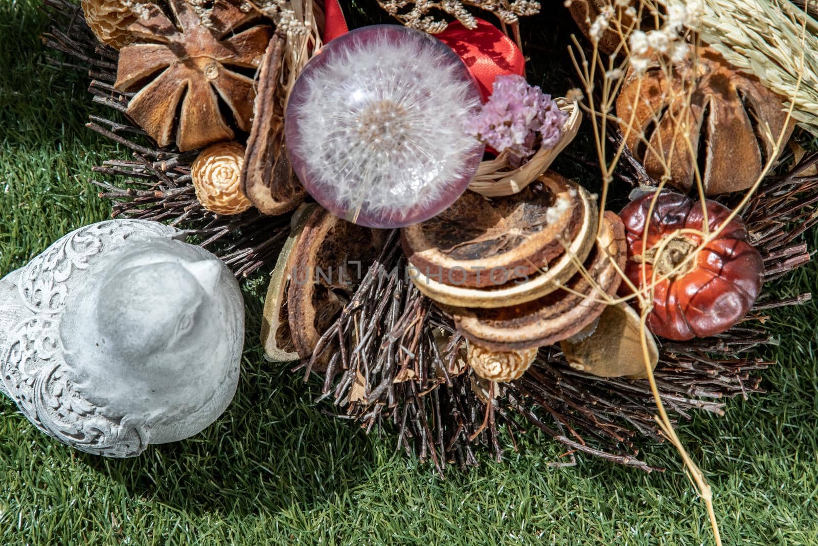 View through the pigeon see the freshness of Glass crystal globe in the middle of dried flowers. World Environment and Ecology concept, nature background.