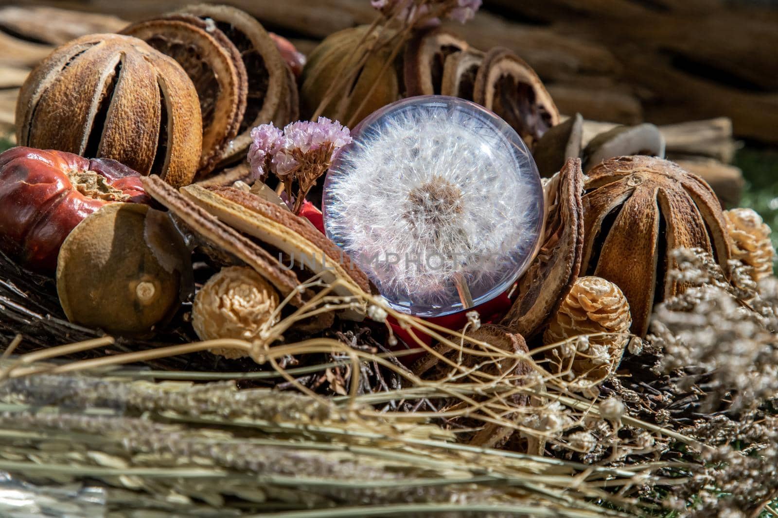 The freshness of Flower in Crystal glass in the middle of Dried flowers. World Environment and Ecology concept, Nature background.