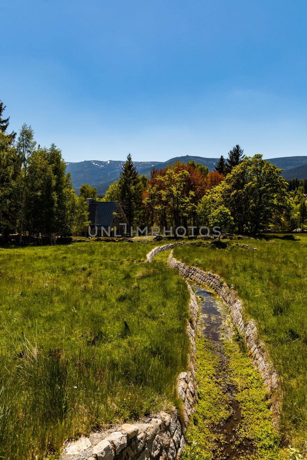 Small river down the mountain in Jizera mountains at sunny day by Wierzchu