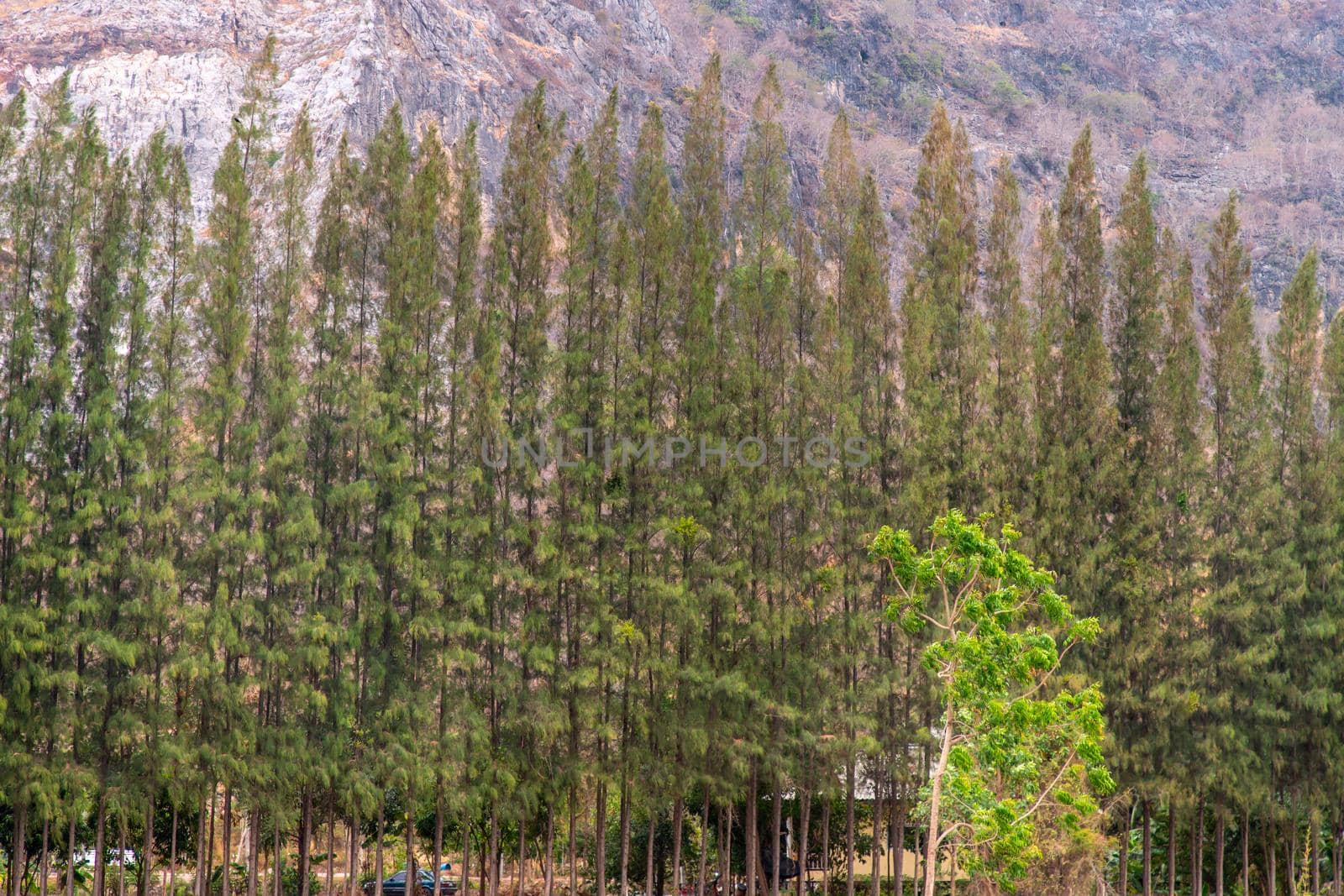 Beautiful view of landscape at Khao i bid or Khao e go at Khao Yoi District, Phetchaburi province, Thailand.