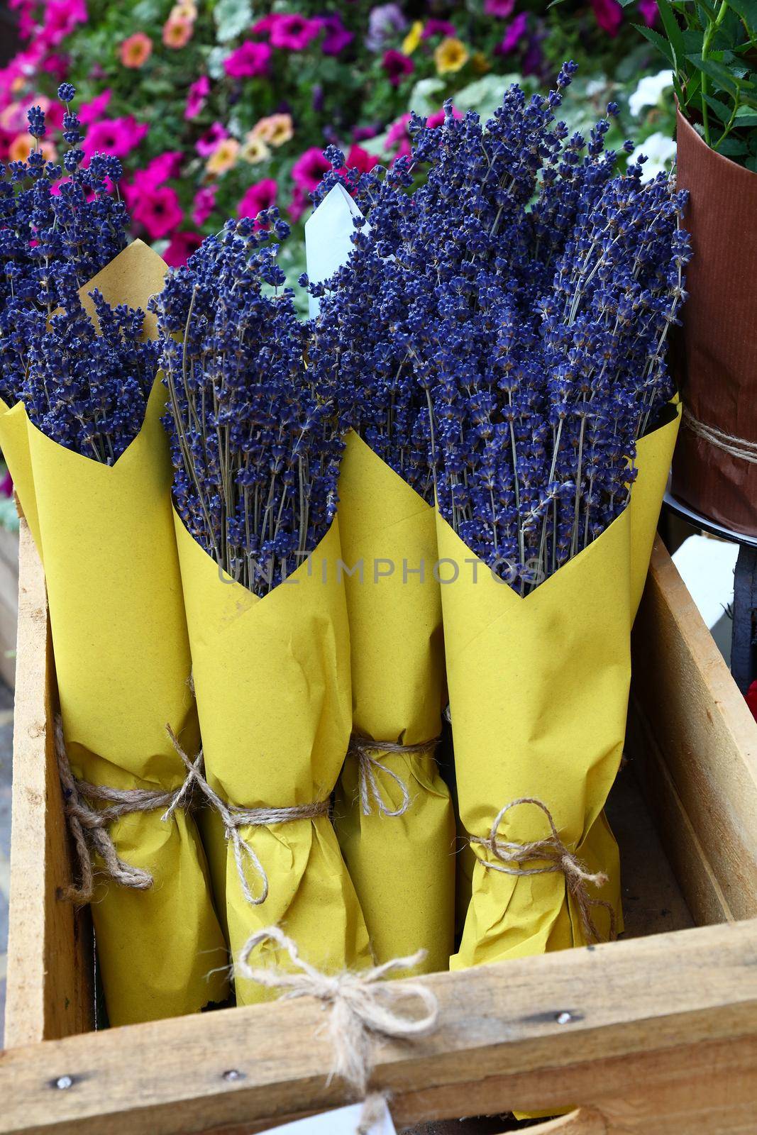 Bouquets of dried lavender flowers in shop by BreakingTheWalls