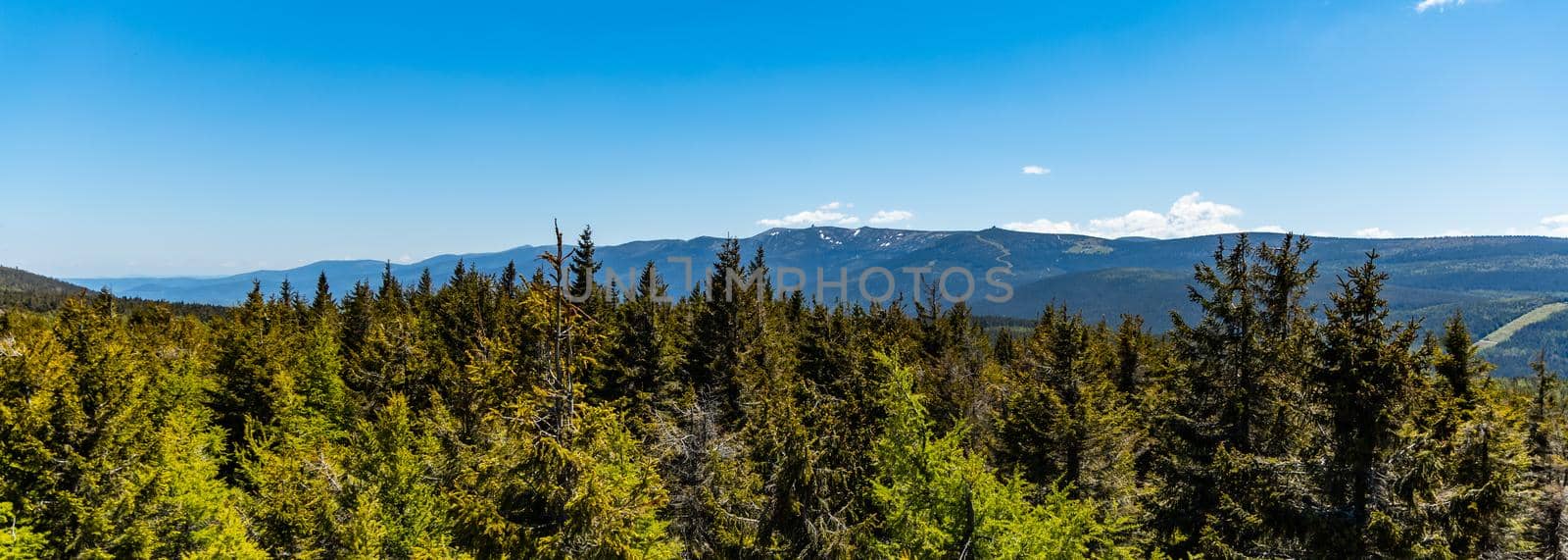 High trees with panorama of Jizery mountains seen from high rocks by Wierzchu