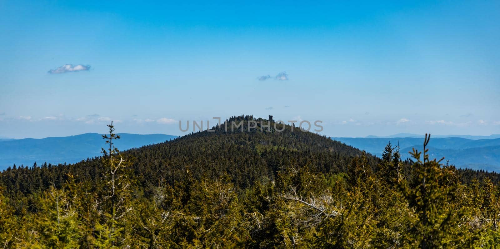 High trees with panorama of Jizery mountains seen from high rocks