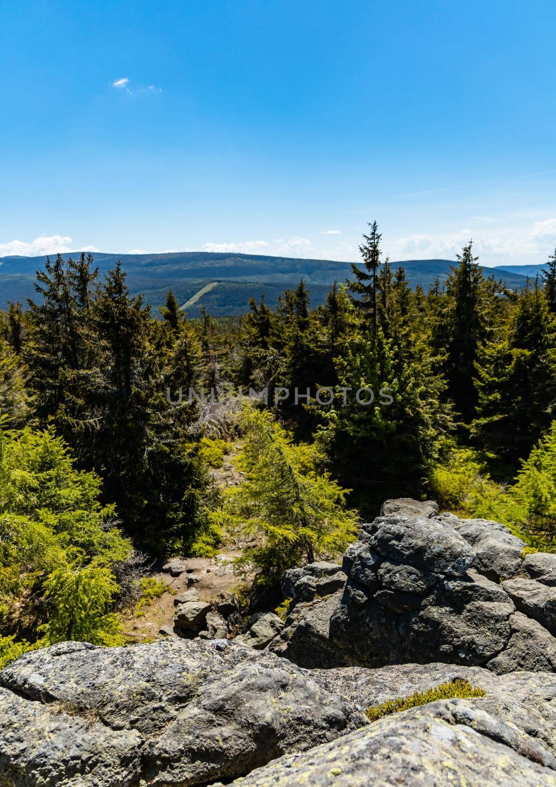 Big rocks in Jizera mountains with high trees around by Wierzchu