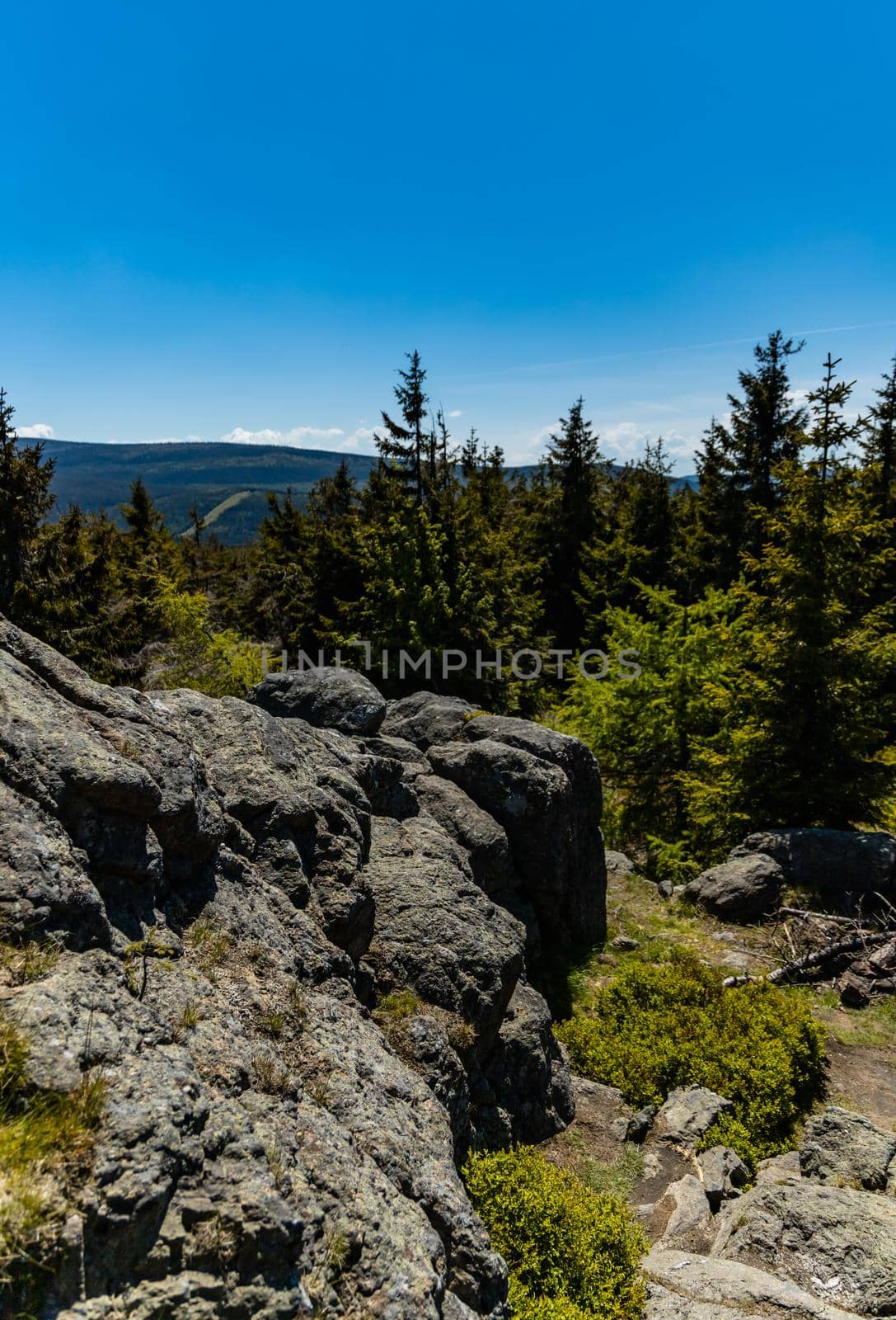 Big rocks in Jizera mountains with high trees around by Wierzchu