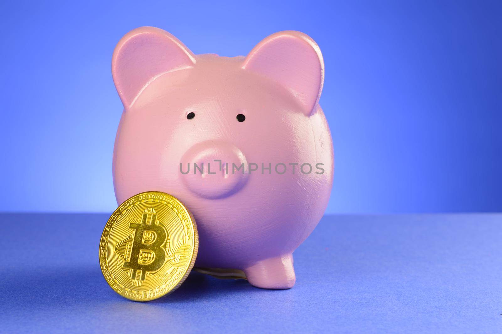 A conceptual image of a piggy bank and bitcoin to represent the cryptocurrency cash accounts.