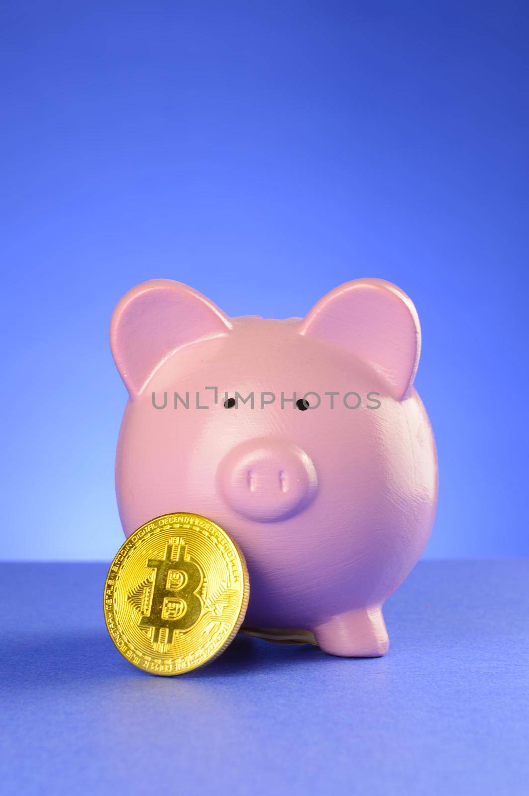 A conceptual image of a piggy bank and bitcoin to represent the cryptocurrency cash accounts.