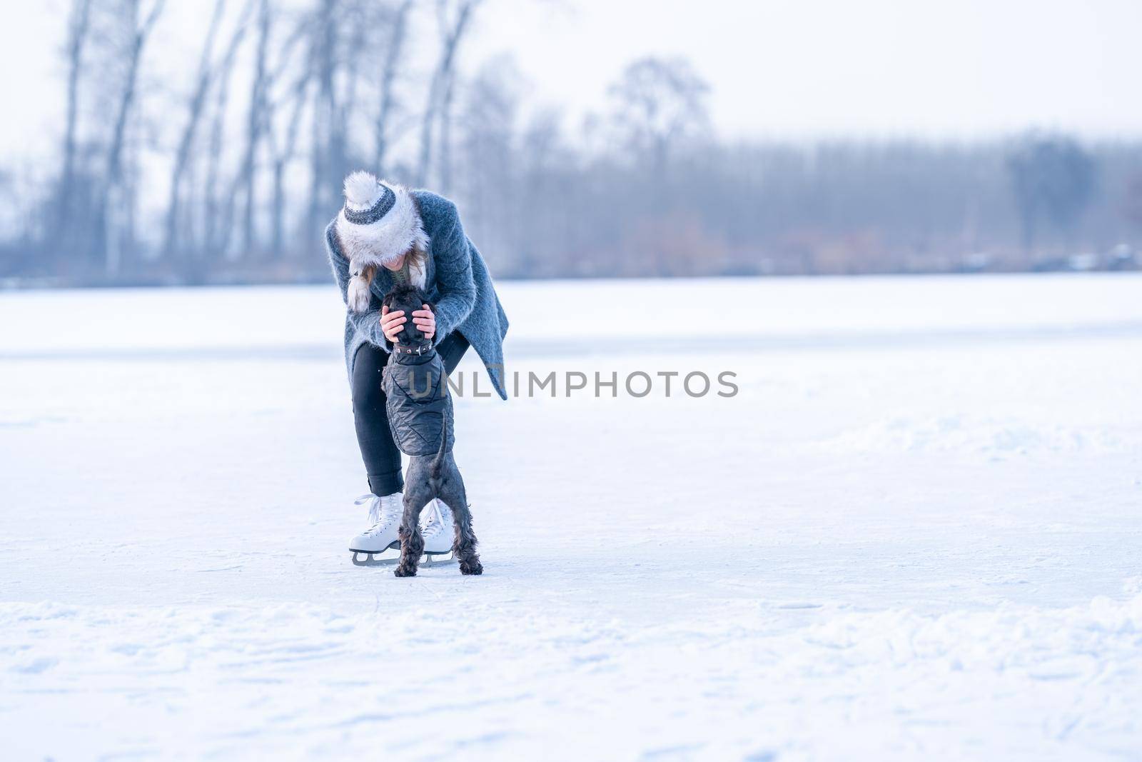 ice skating on the ice of a frozen lake young attractive woman with dog by Edophoto