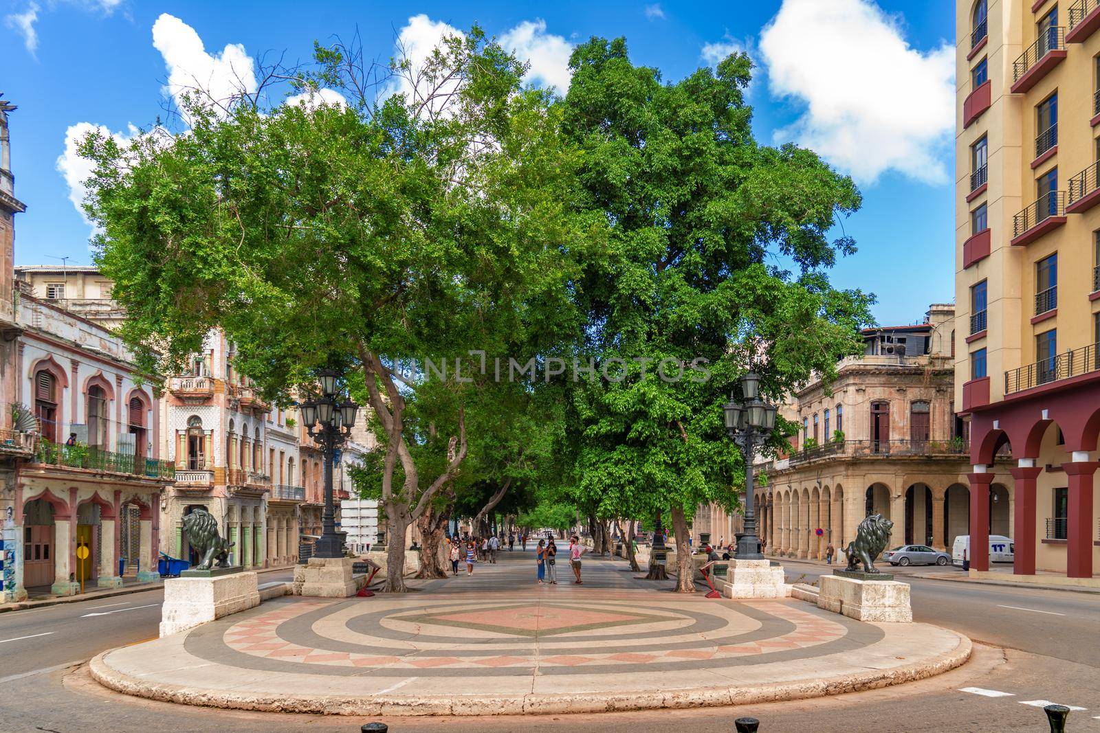 Havana Cuba. November 25, 2020: Paseo del Prado in Havana with trees and benches on its sides, a place very popular with Cubans and tourists