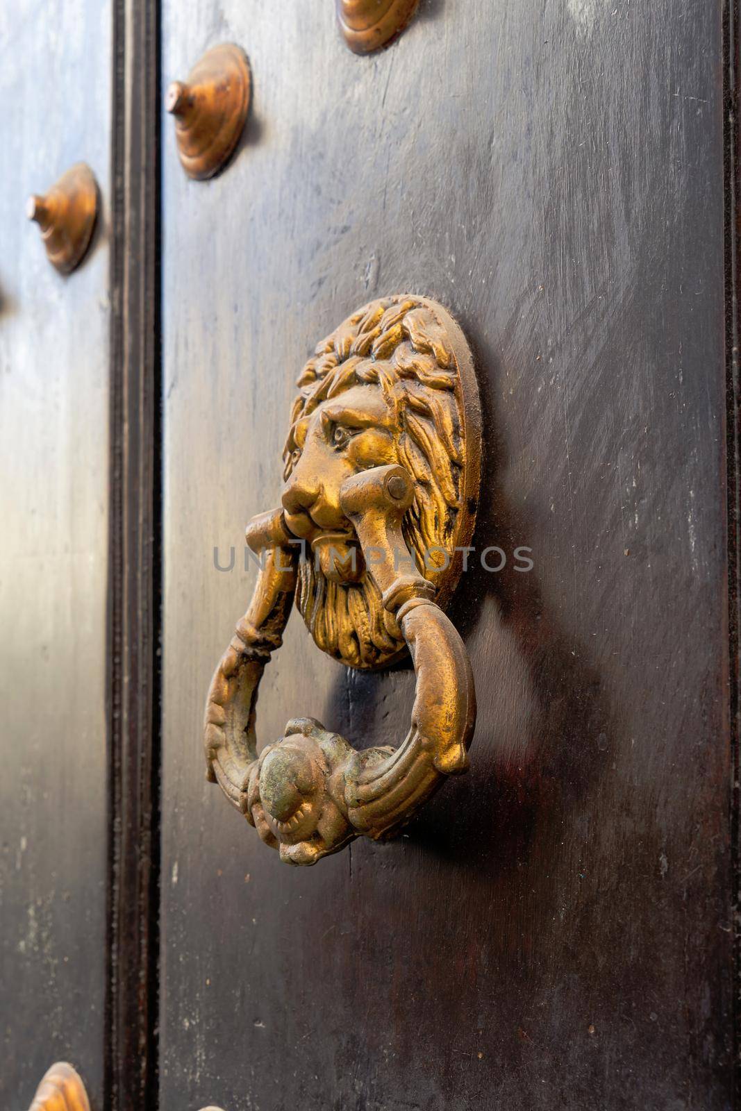 Tanned knocker on a dark wooden door
