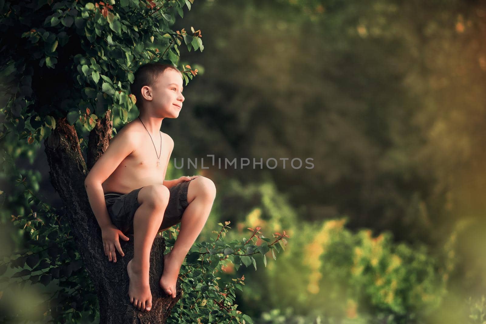 A boy without a shirt sits on a partially felled tree in the village. Against the background of green foliage. on a warm summer day.