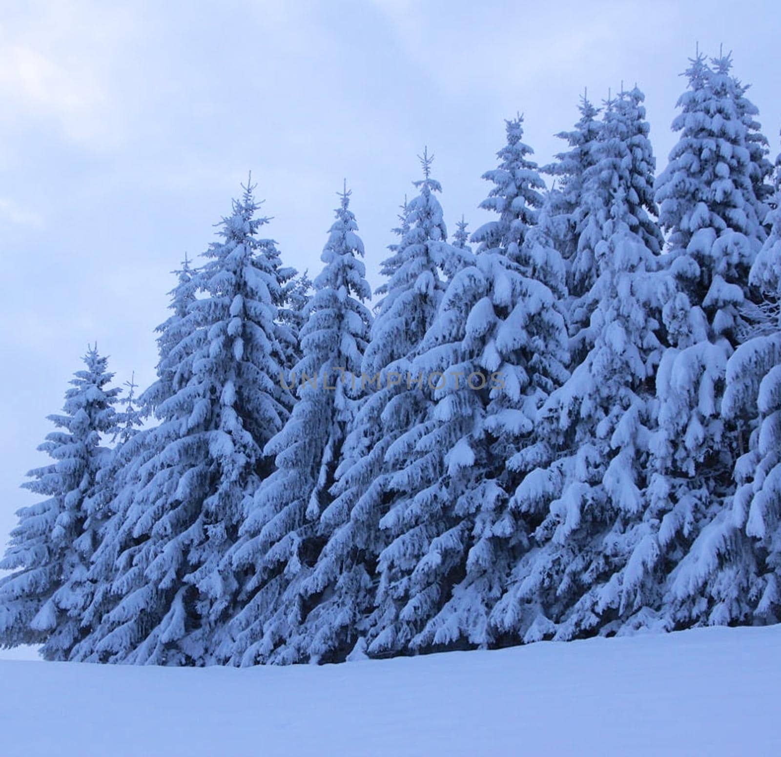 Beautiful pictures of Appenzell