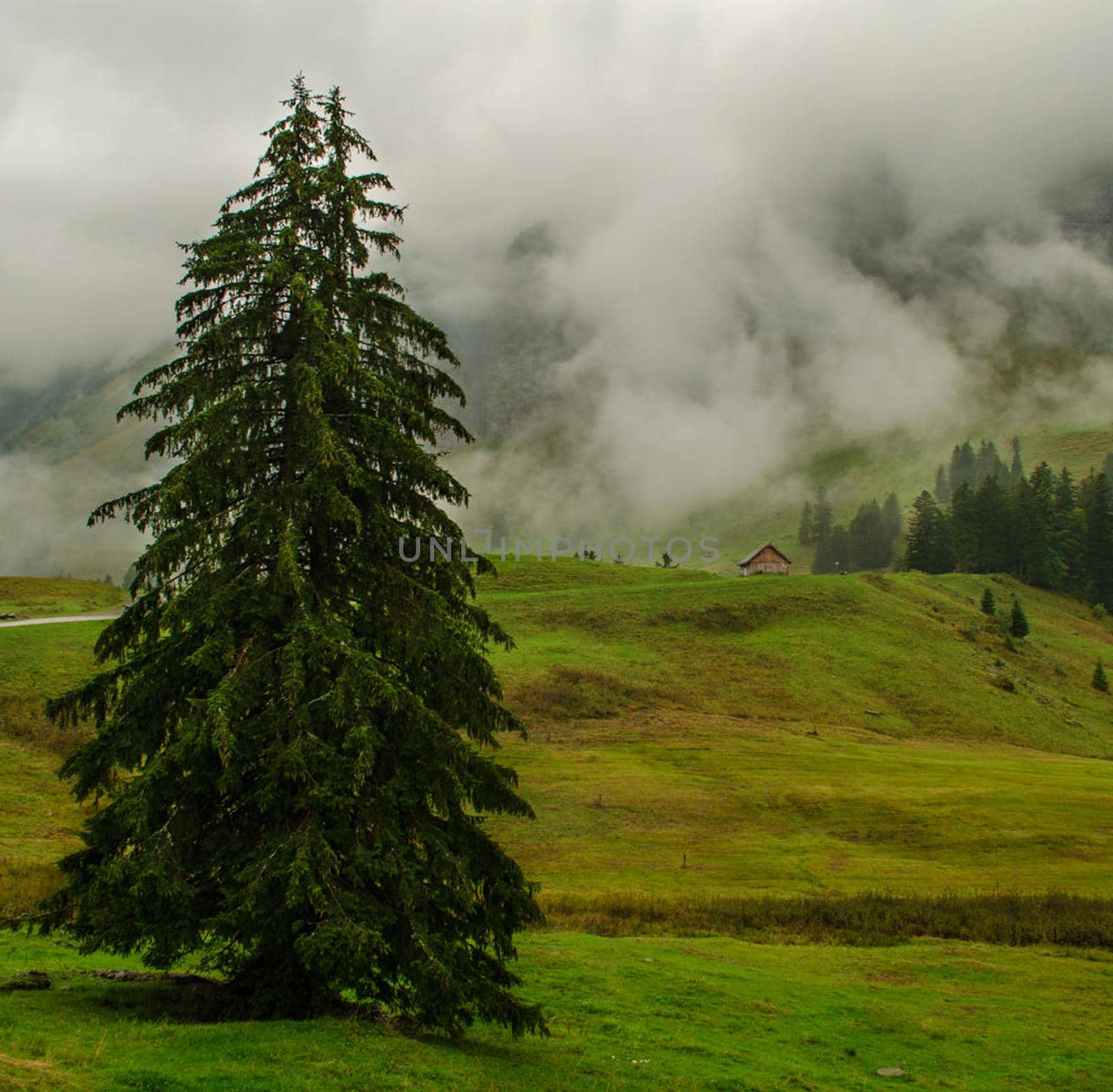 Appenzell pictures