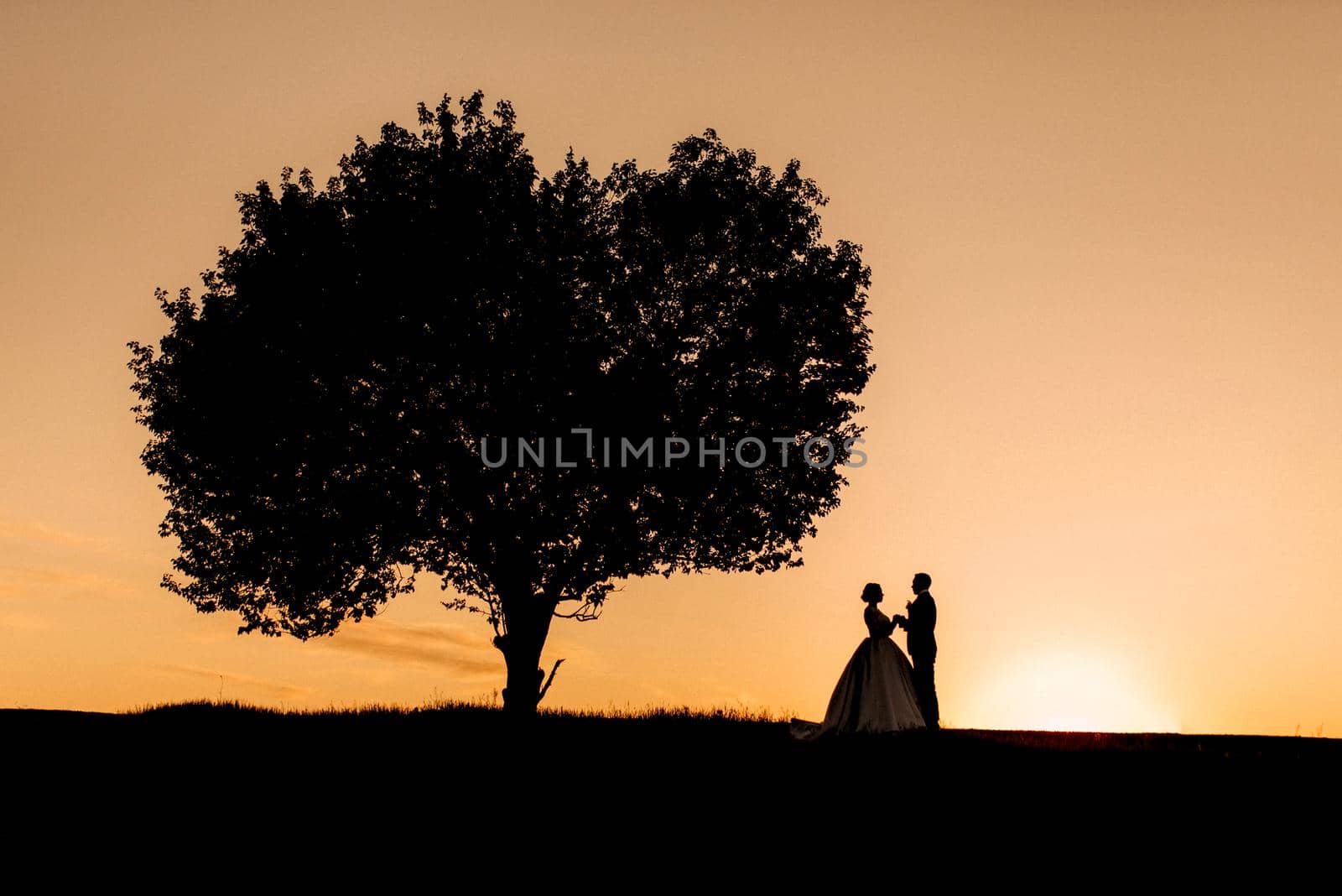 silhouettes of a happy young couple guy and girl on a background of orange sunset in the sand desert