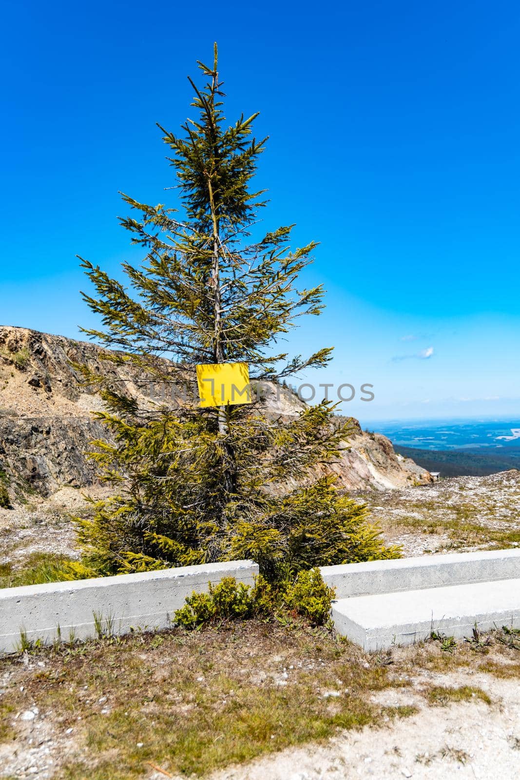 Small tree with yellow board in front of quartz mine Stanislaw