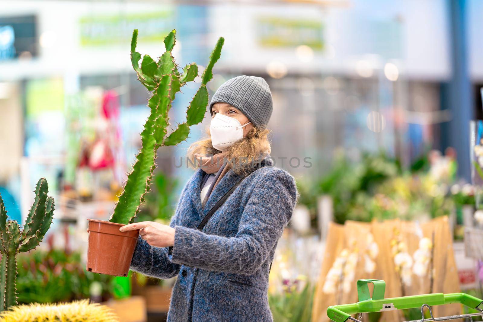 buying a cactus in a flowerpot at the store by Edophoto
