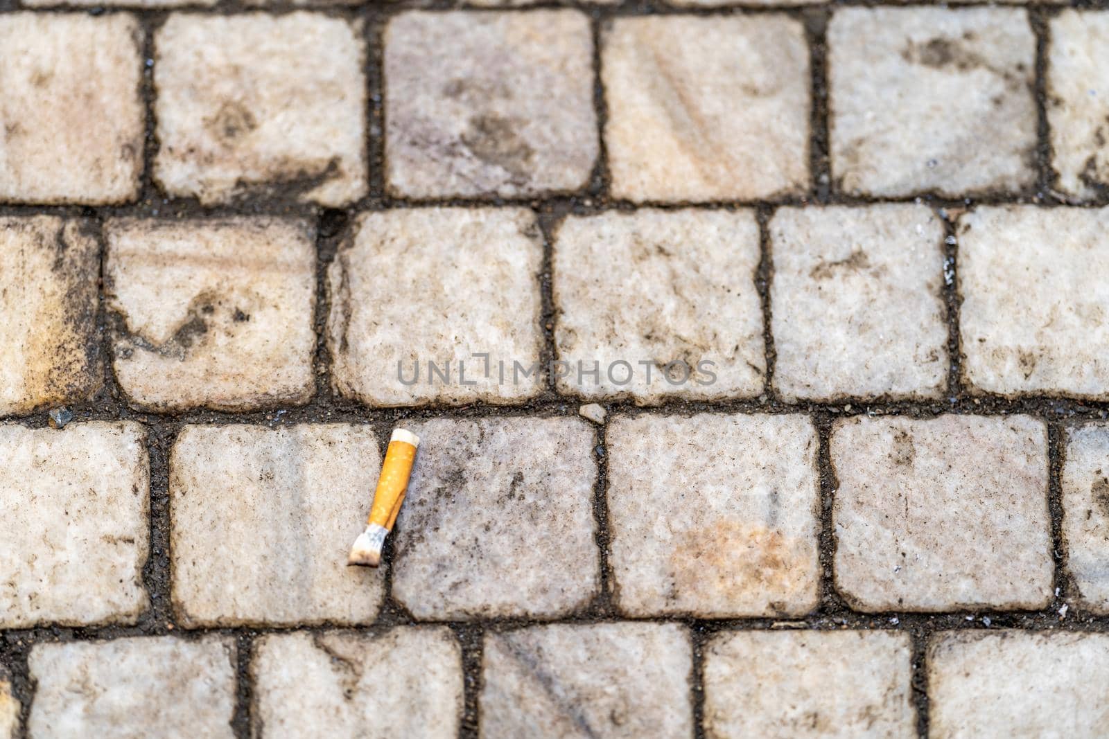 cigarette butt on the sidewalk in the city.