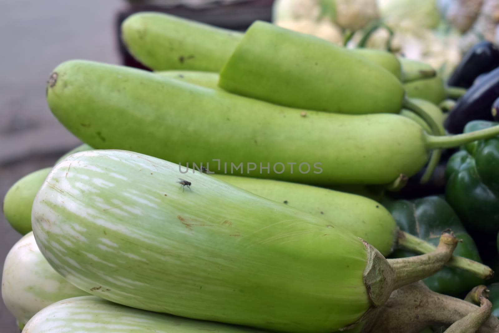 A closeup shot of a green eggplant and bottle gourd in a market place