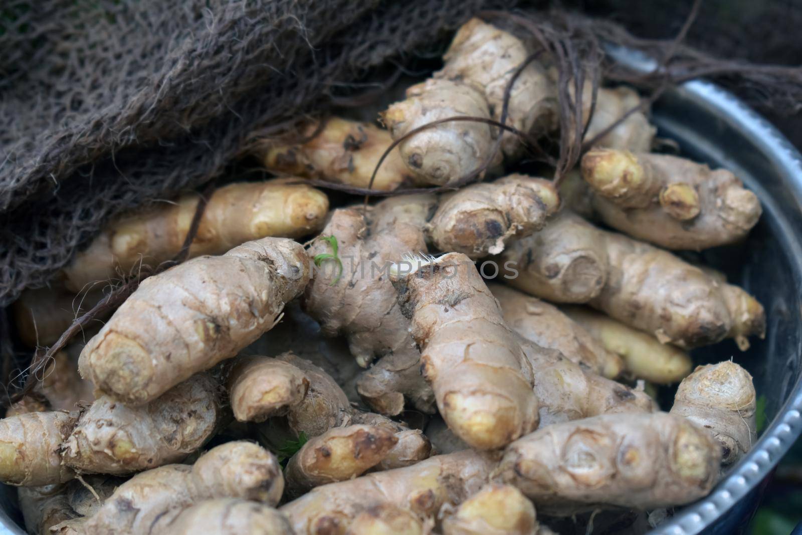 Closeup shot of a pile of fresh ginger in a market place by tabishere