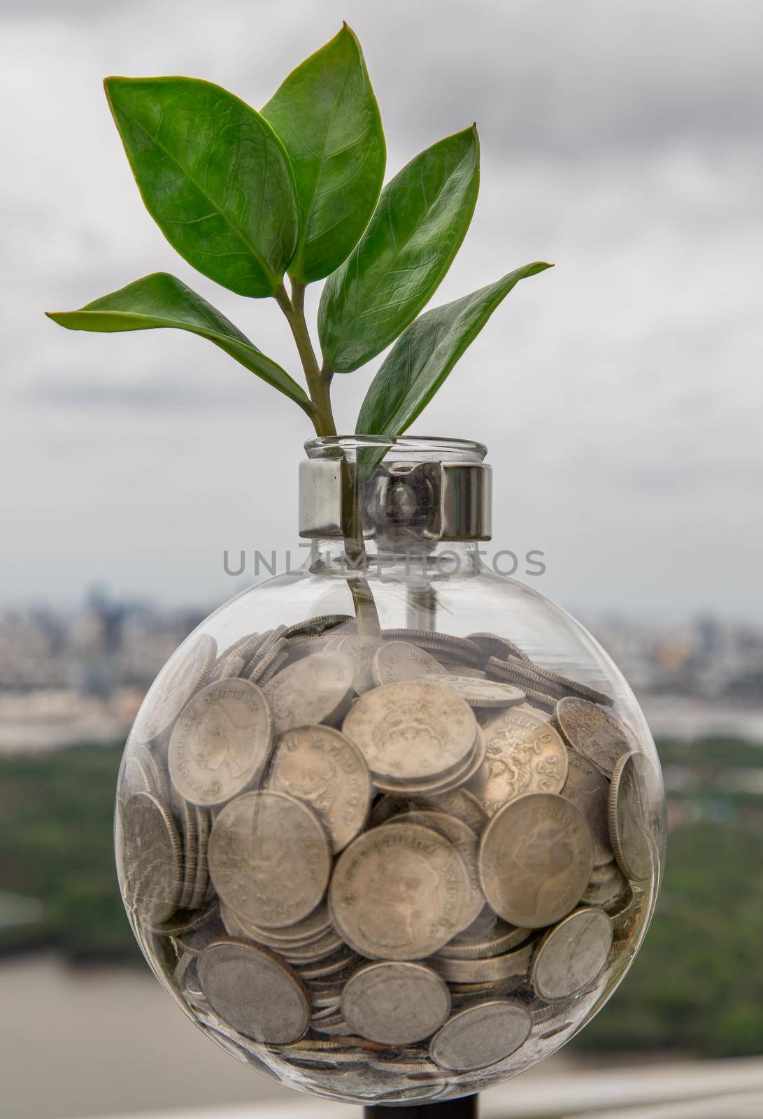 The saplings that grow on the pile of coins In a glass bottle on cityscape background Symbol for business growth. Investment concept for growth and saving money. Space for text input, Selective focus.