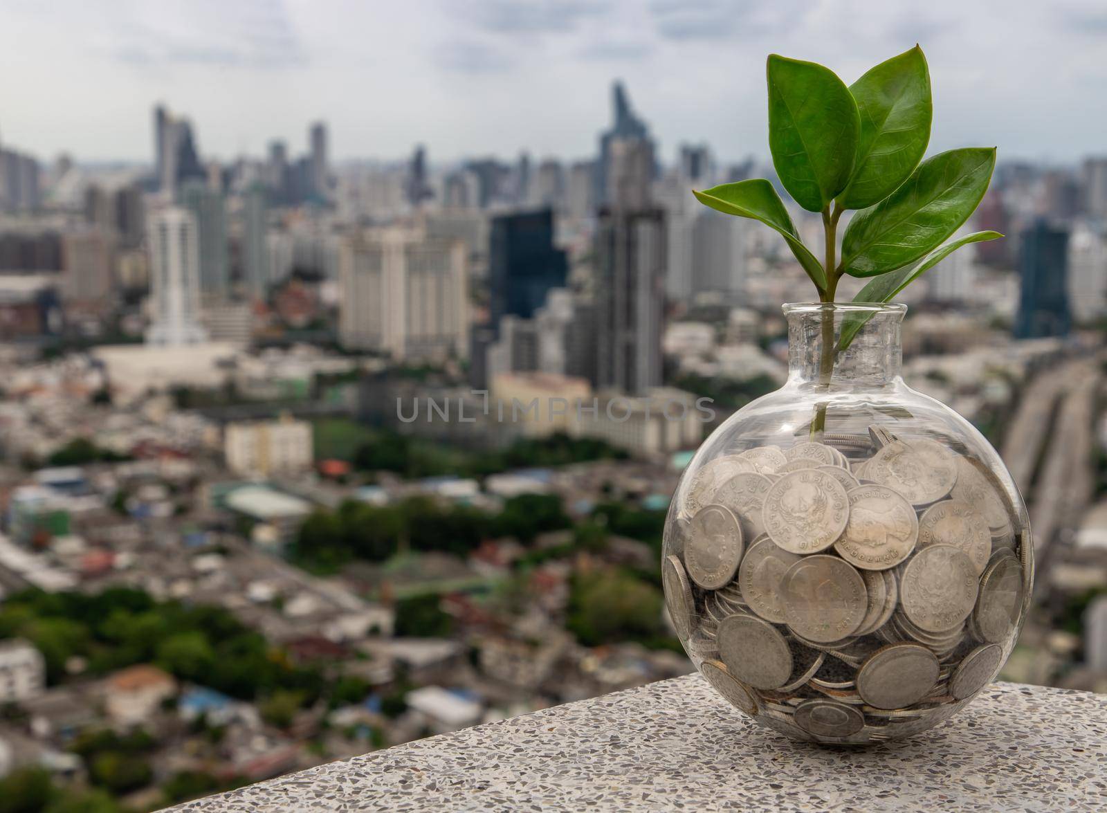 The saplings that grow on the pile of coins In a glass bottle on cityscape background Symbol for business growth. Investment concept for growth and saving money. Space for text input, Selective focus.