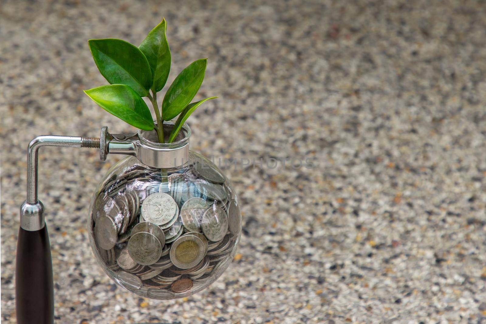 Bangkok, Thailand - Jun 26, 2020 : The saplings that grow on the pile of coins In a glass bottle Symbol for business growth. Investment concept for growth and saving money. Space for text input, Selective focus.