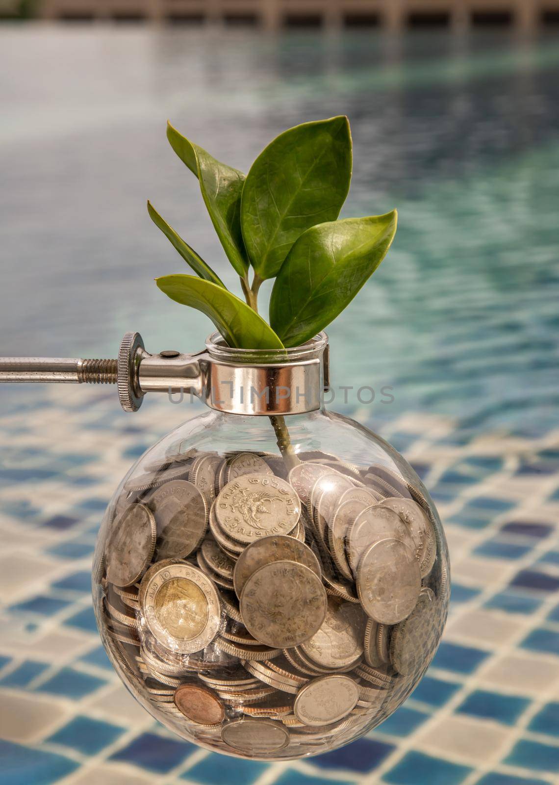 Bangkok, Thailand - Jun 26, 2020 : The saplings that grow on the pile of coins In a glass bottle on pool background Symbol for business growth. Investment concept for growth and saving money. Space for text input, Selective focus.