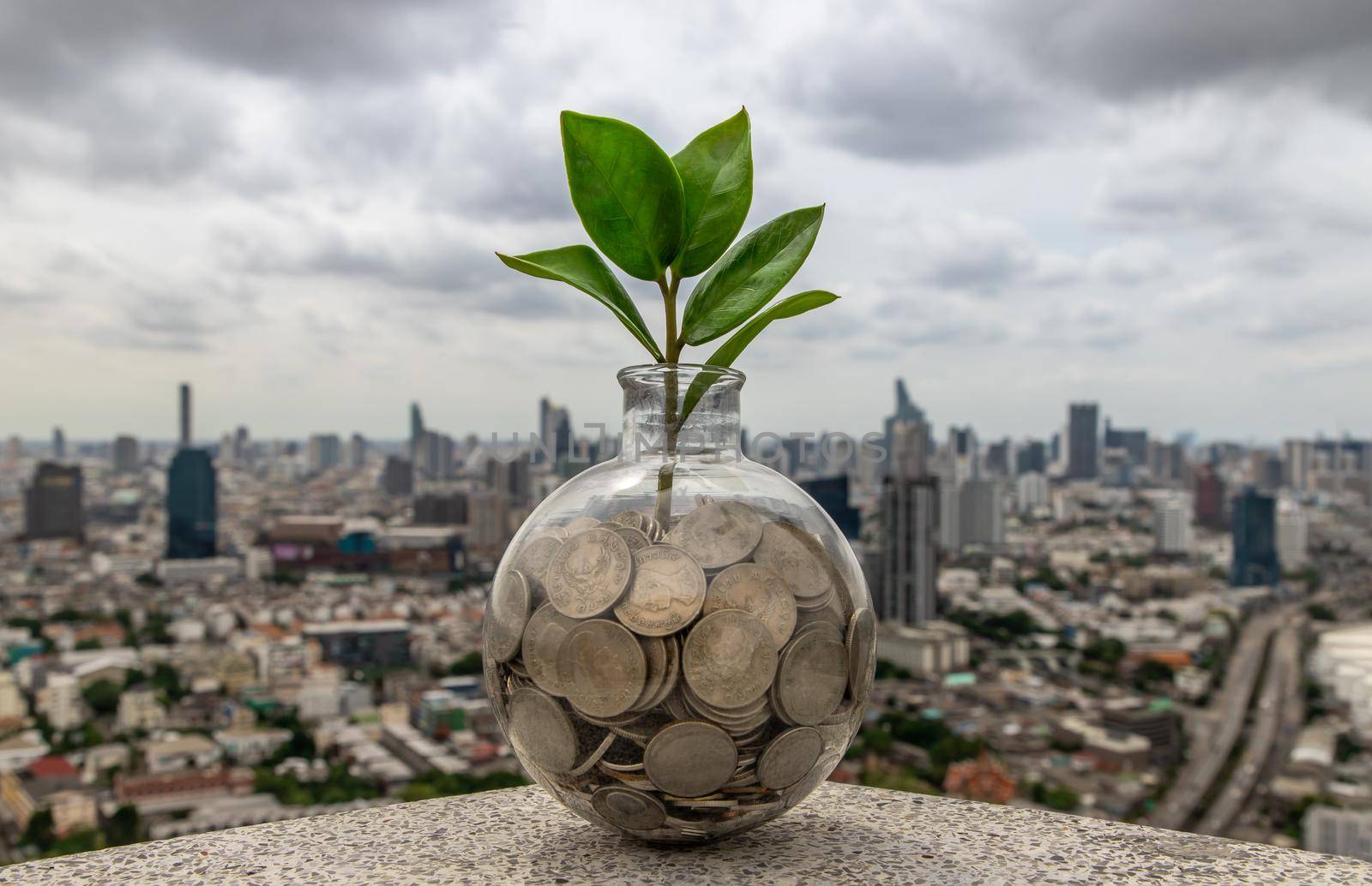 The saplings that grow on the pile of coins In a glass bottle on cityscape background Symbol for business growth. Investment concept for growth and saving money. Space for text input, Selective focus.