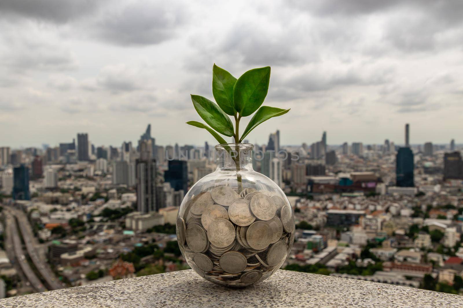 The saplings that grow on the pile of coins In a glass bottle on cityscape background Symbol for business growth. Investment concept for growth and saving money. Space for text input, Selective focus.