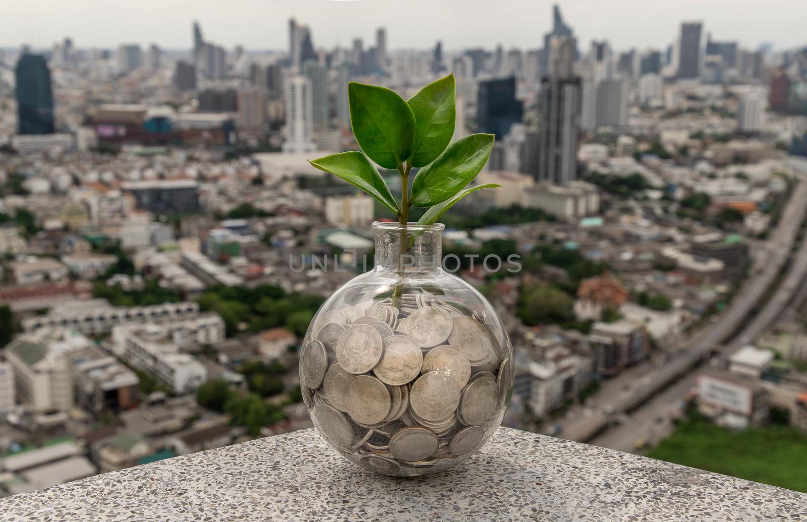 The saplings that grow on the pile of coins In a glass bottle on cityscape background Symbol for business growth. Investment concept for growth and saving money. Space for text input, Selective focus.