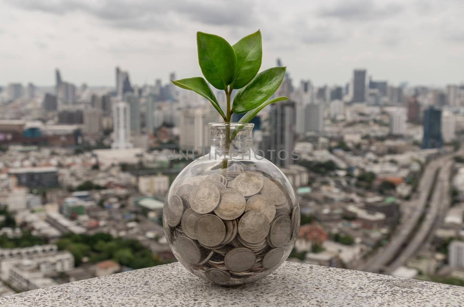 The saplings that grow on the pile of coins In a glass bottle on cityscape background Symbol for business growth. Investment concept for growth and saving money. Space for text input, Selective focus.