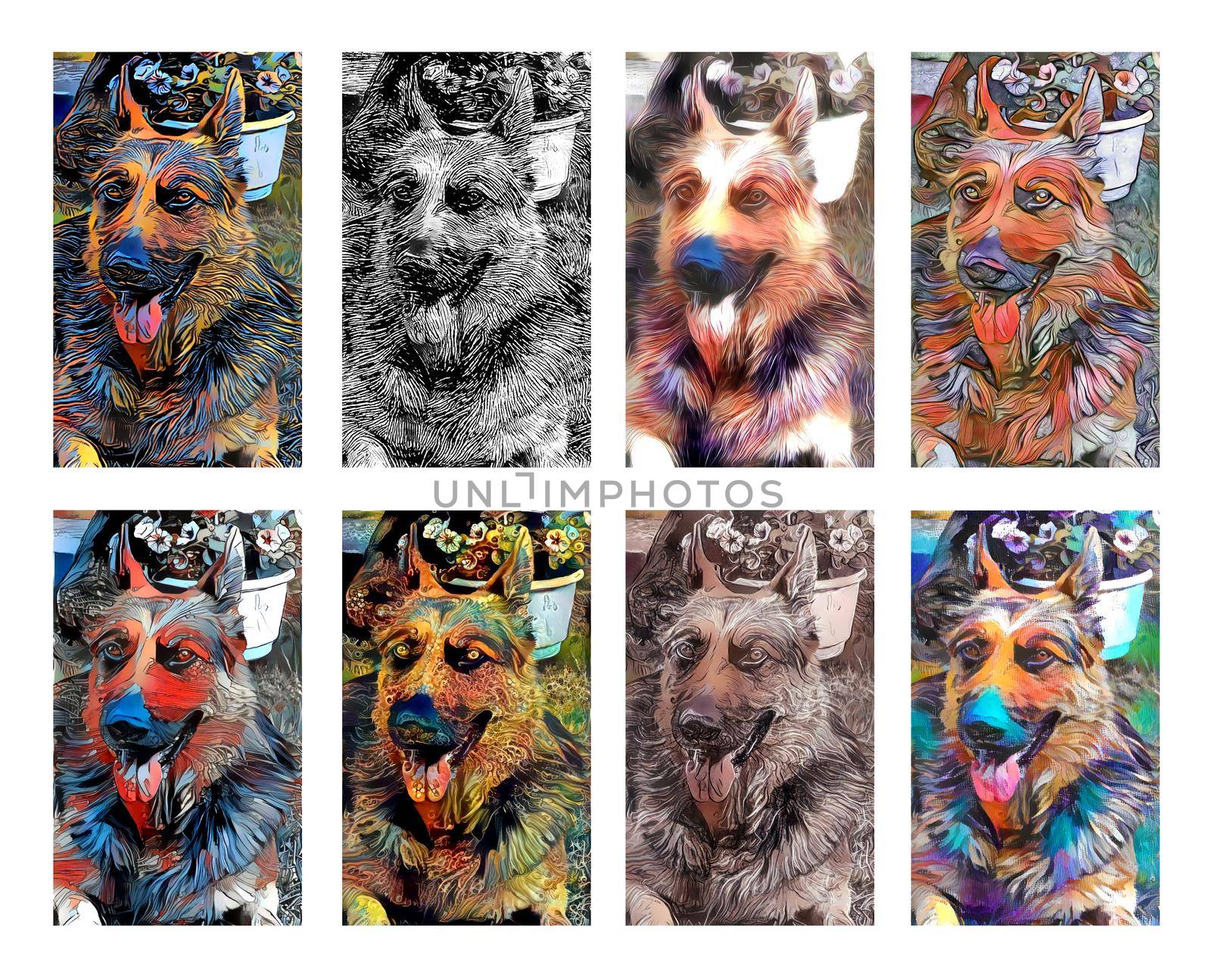 Illustration of German shepherd painted with different artistic techniques by stocklady