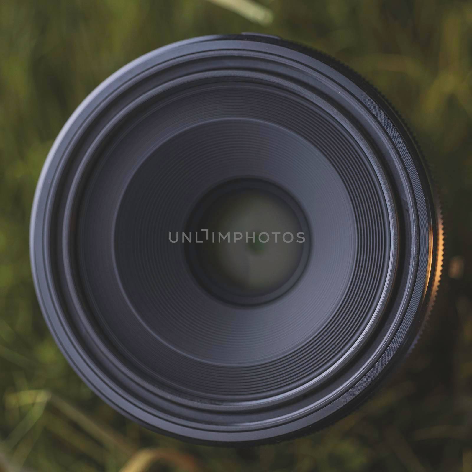 Macro camera lens in grass. High quality macro photo.