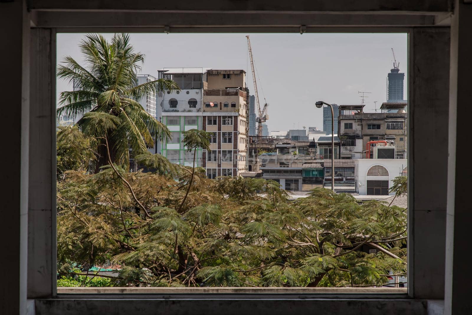 View of buildings and big trees in Bangkok. Looks through the window frames in abandoned building. Selective focus.