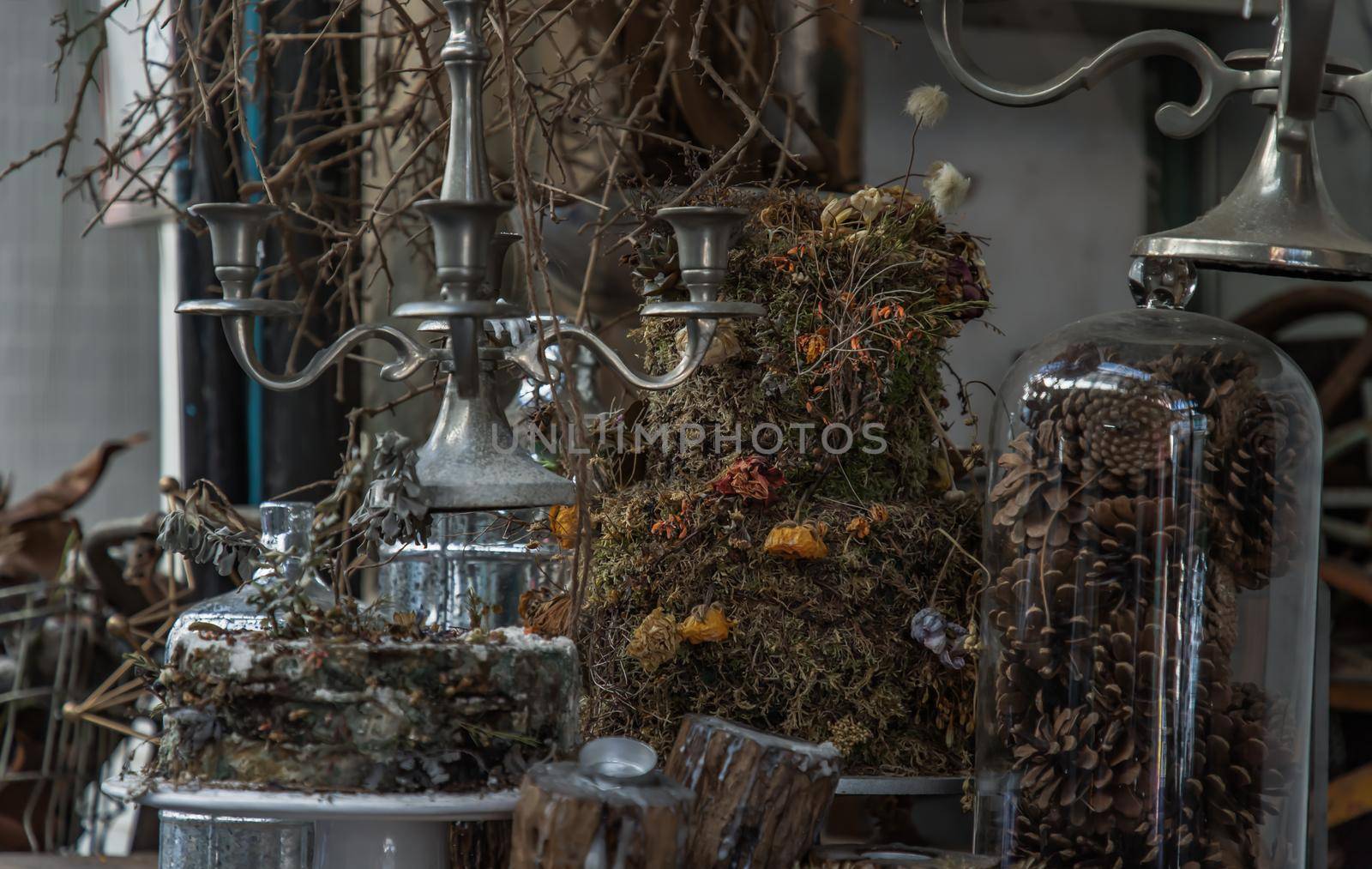 Antique candlestick and Dry plant with Pine cones in glass bottle.  Vintage shop decoration idea. Selective focus.