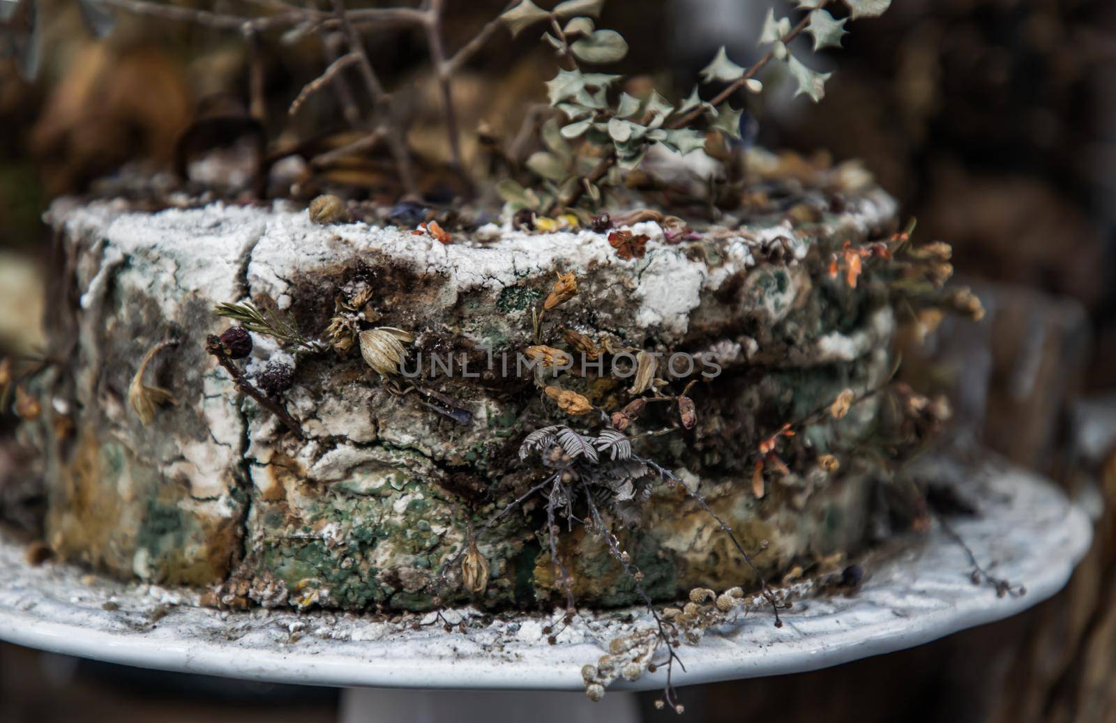 Close-up of Dried flowers on Mockup cake gone mouldy. Vintage shop decoration idea. Focus and blur.