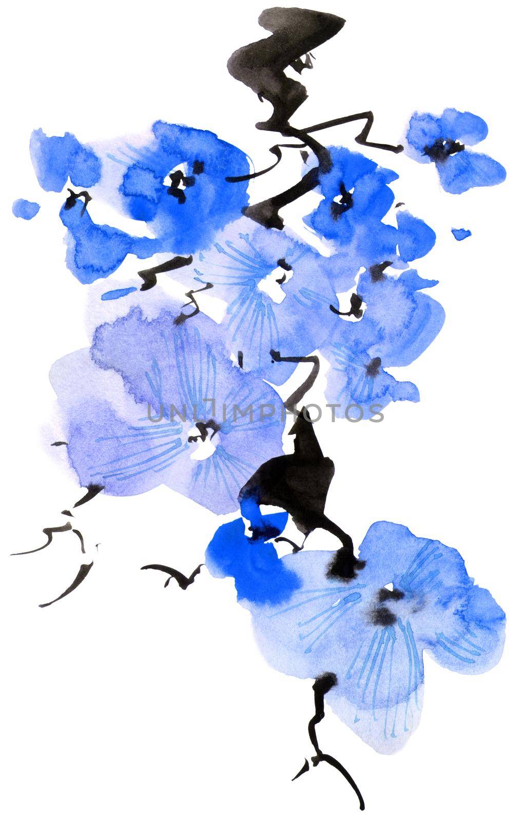 Watercolor and ink illustration of blossom tree branch with blue flowers and buds. Oriental traditional painting in style sumi-e, u-sin and gohua.