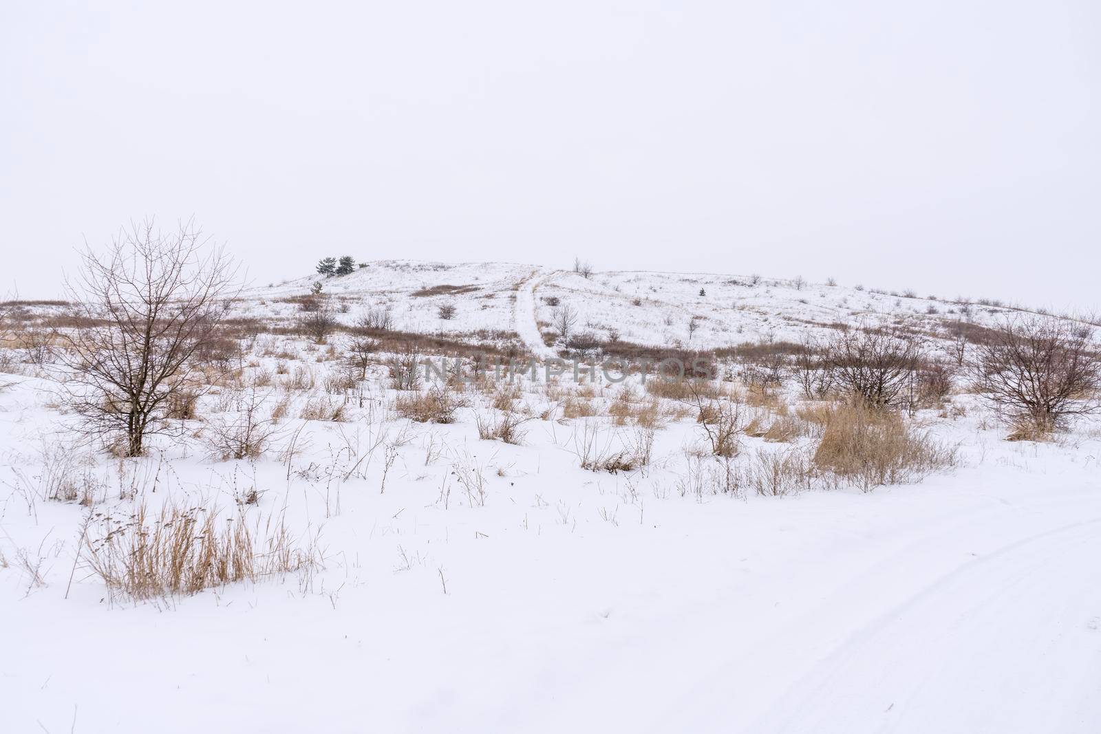 snow-covered hill mountain against a white sky. High quality photo