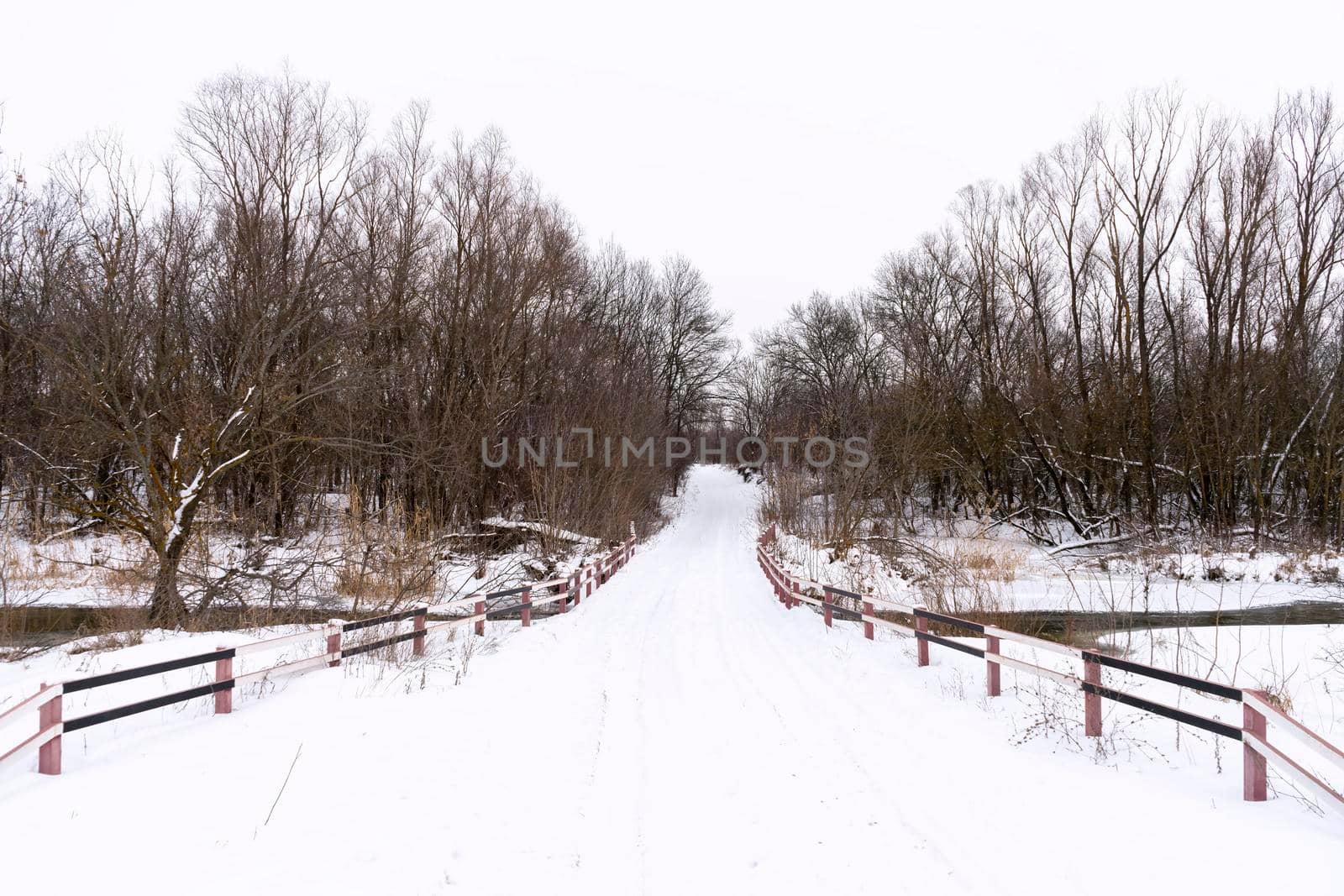 winter road across the river in the snow-covered forest. High quality photo