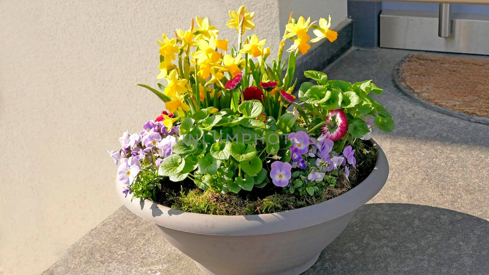 Flowers in a flower bowl at a house by Jochen